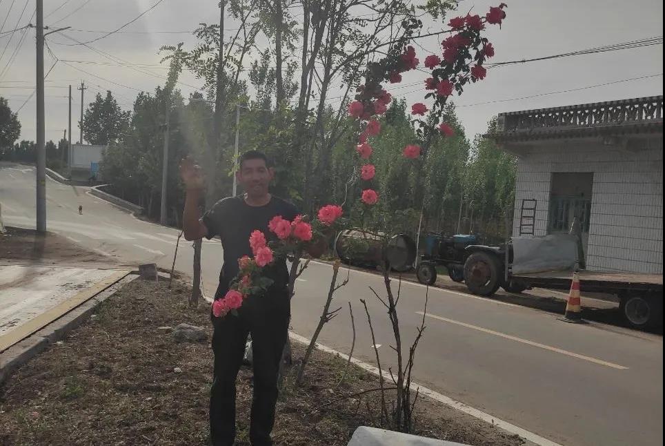 一覽眾山小——中聯(lián)收獲花生撿拾收獲機靠什么占領(lǐng)用戶心智高地?